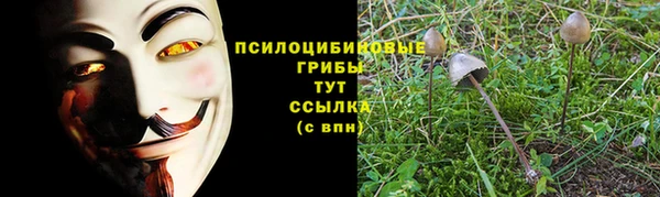 spice Аркадак