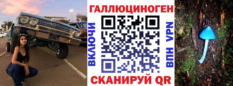 Галлюциногенные грибы Psilocybe  Купить где  Строитель 