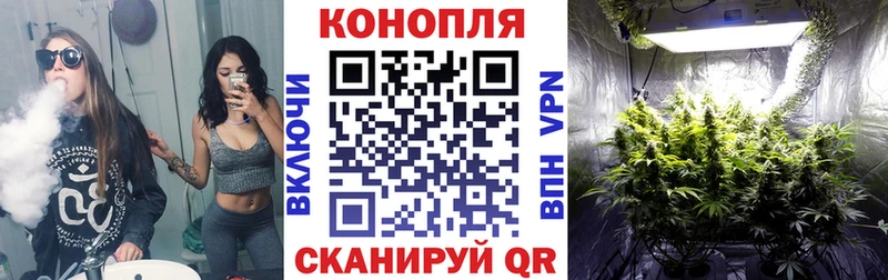 Канабис марихуана  Купить  Строитель 